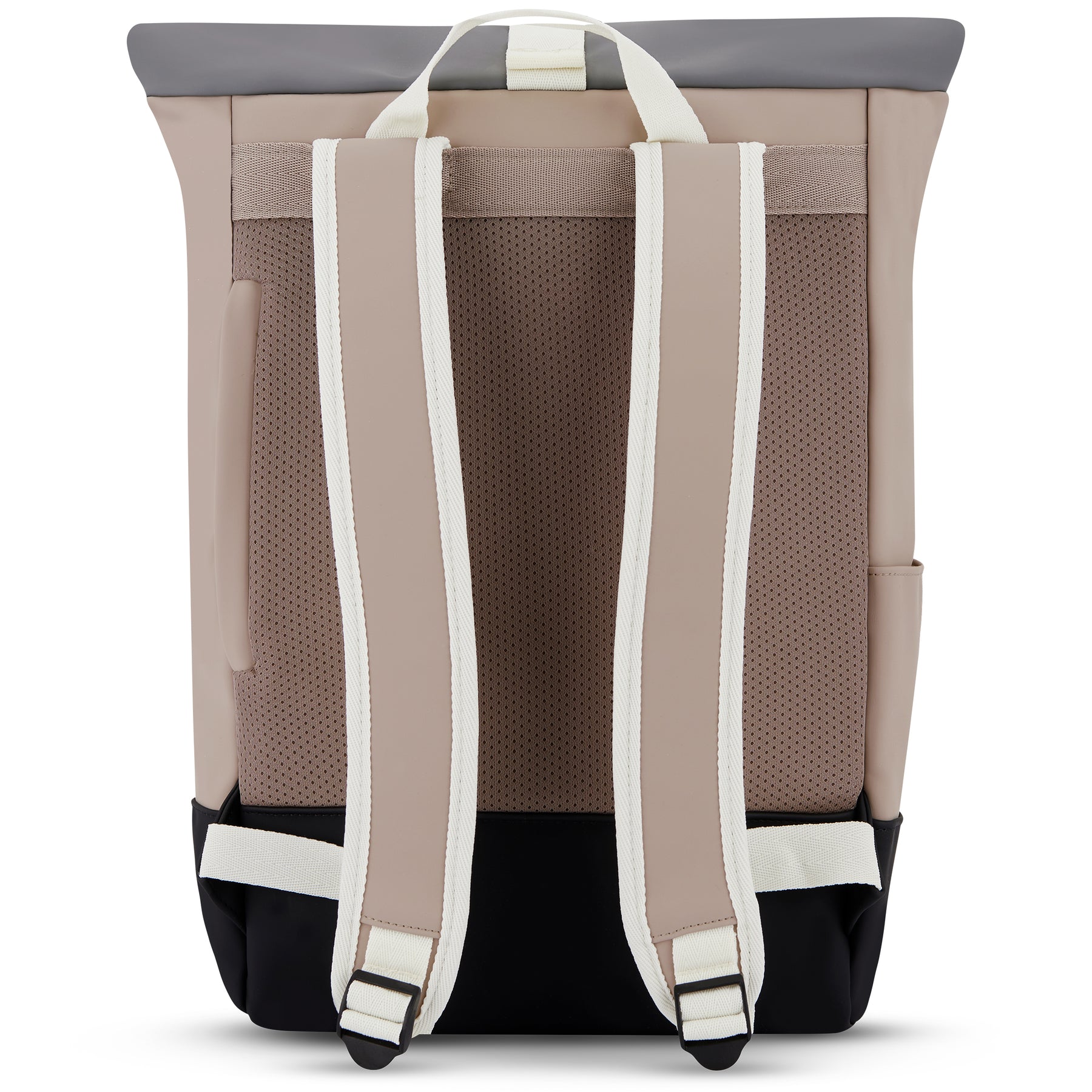 Rolltop Rucksack Harvey Medium in Beige und Grau, Rückseite mit gepolsterten Schultergurten und Tragegriff
