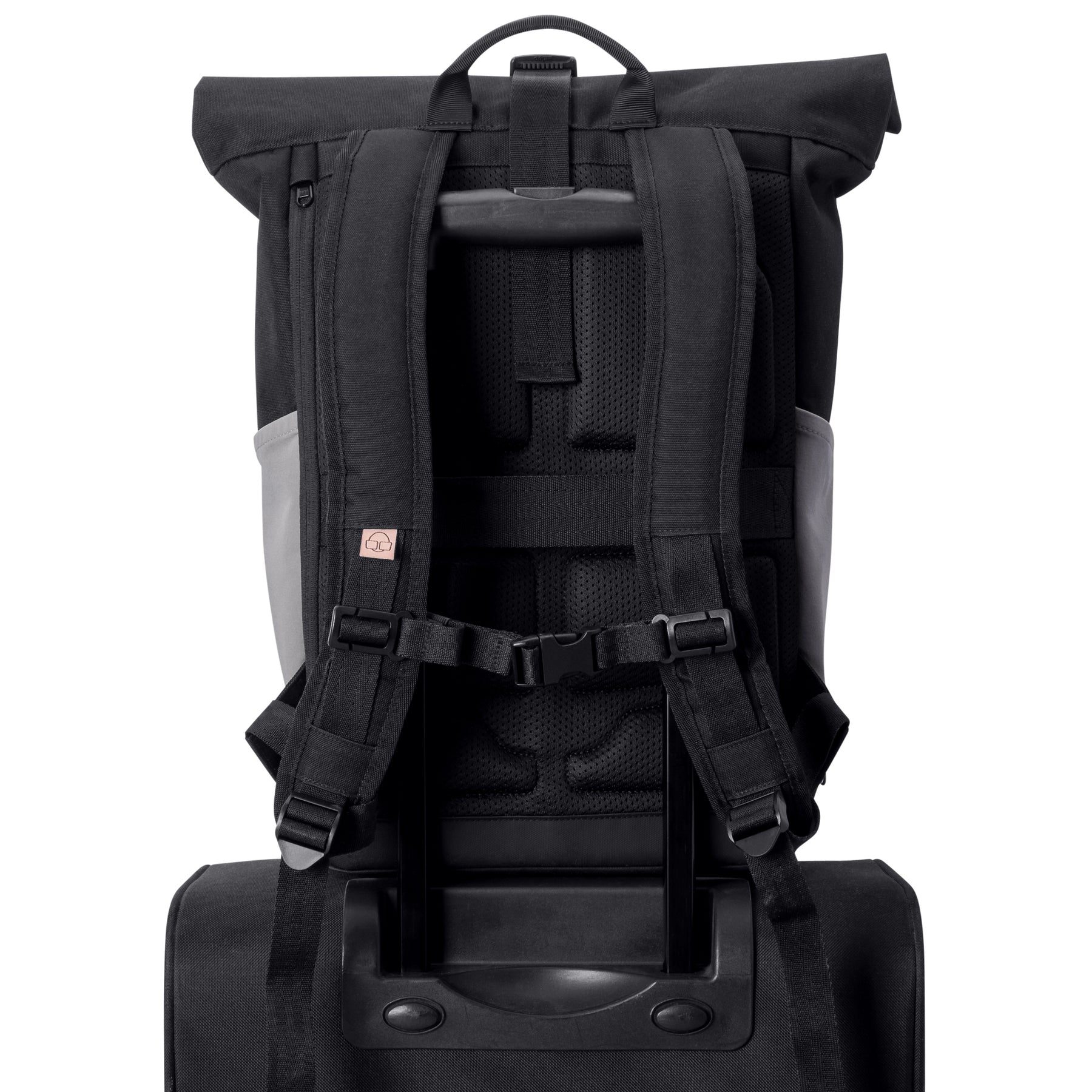 Rückseite des schwarzen Johnny Urban Rolltop Rucksacks Allen Medium mit gepolsterten Schultergurten, Brustgurt und Reiserucksackhalterung