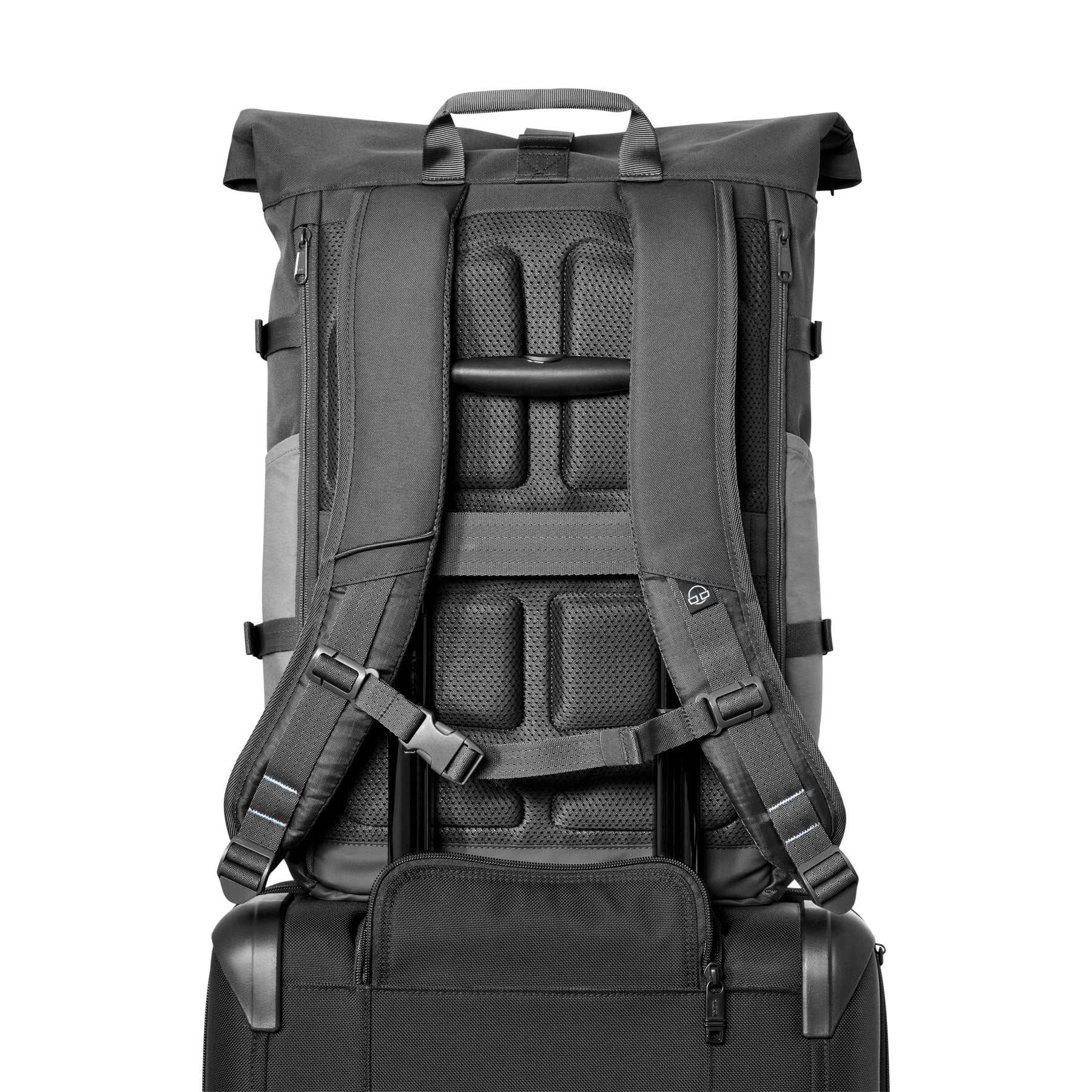 Rückansicht des grauen Rolltop-Rucksacks Allen Large Move mit gepolstertem Rücken und verstellbaren Schultergurten, befestigt an einem schwarzen Trolley-Griff