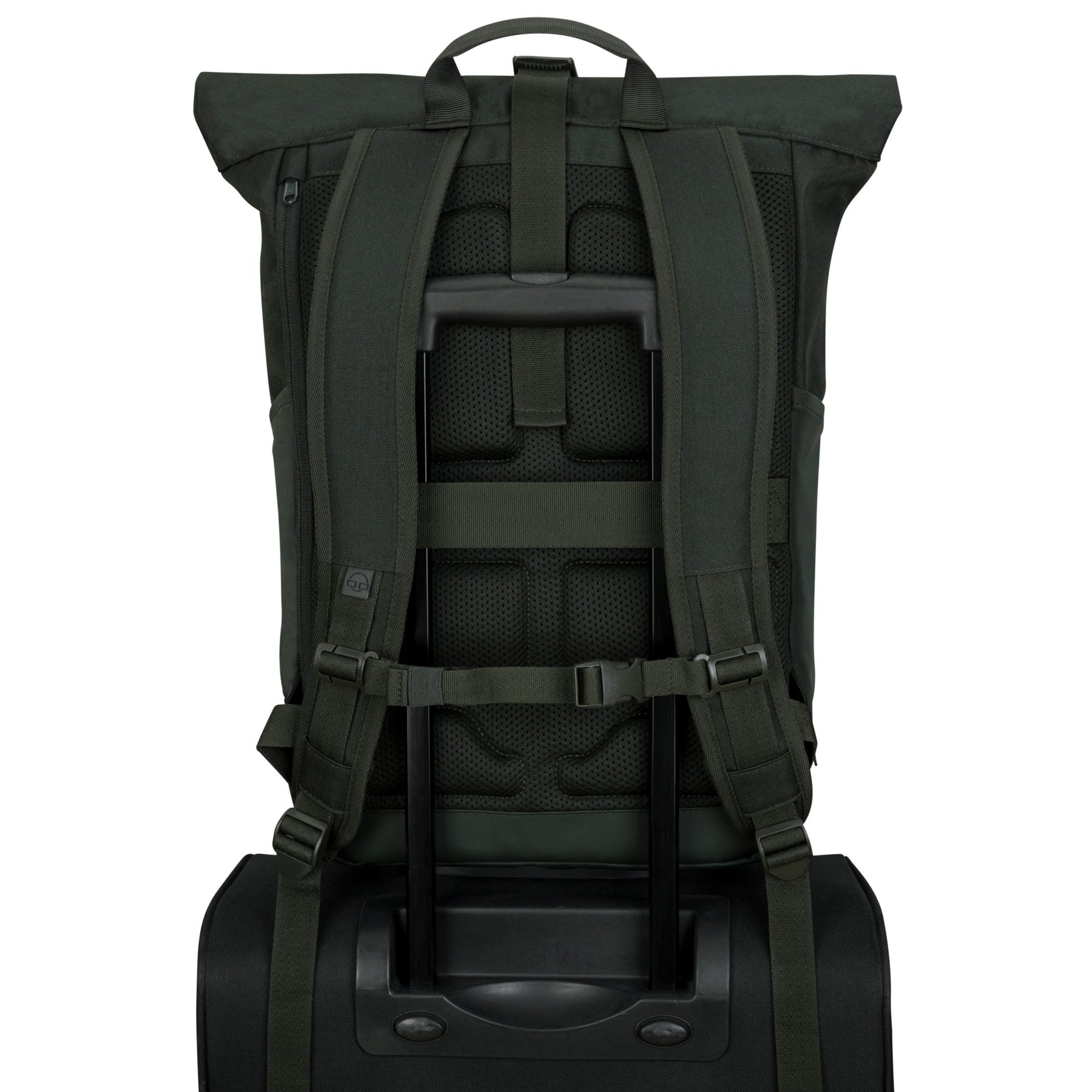 Rückansicht des grünen Rolltop Rucksack Allen Large mit gepolstertem Rücken und Befestigungsschlaufe für Trolleygriff