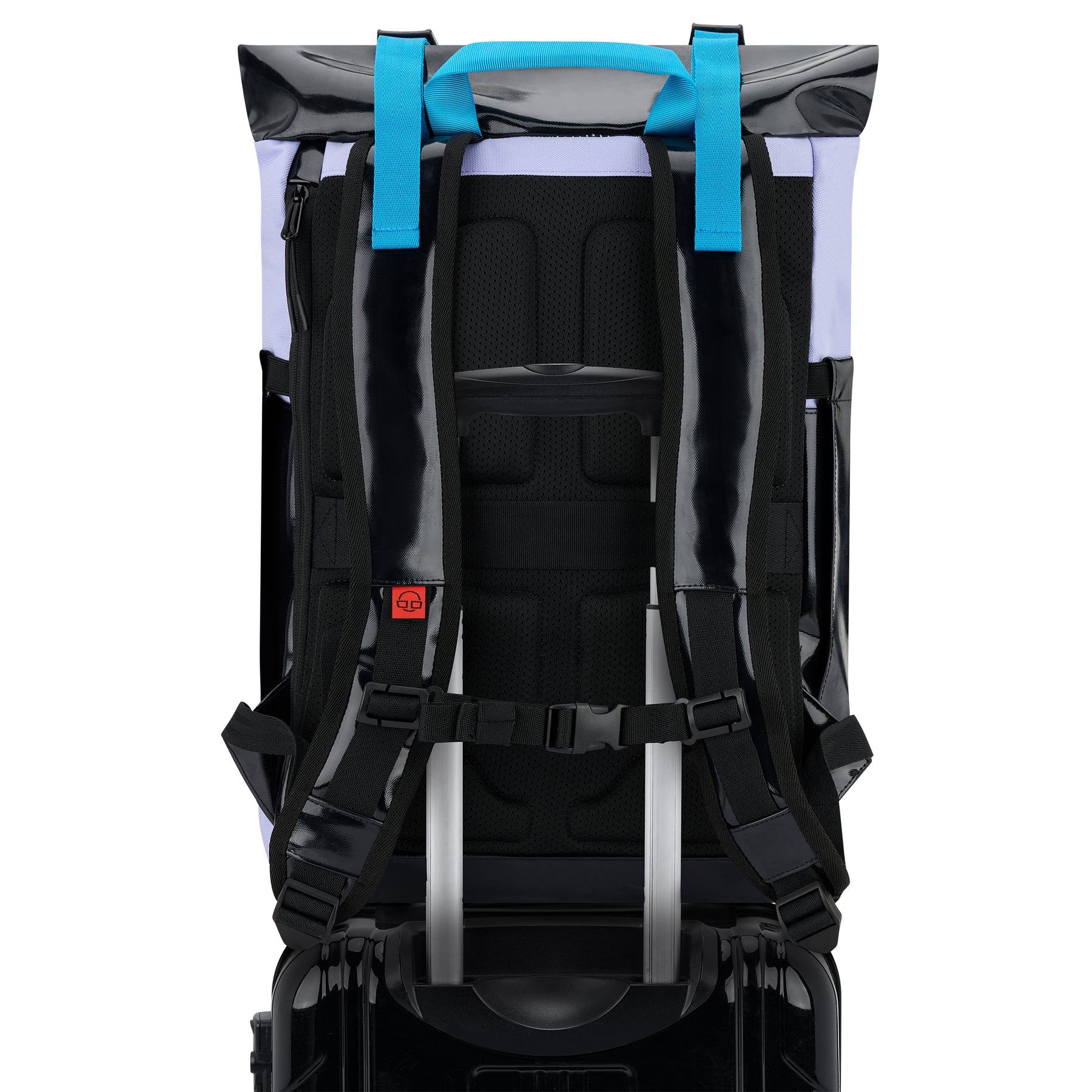 Rückseite des Rolltop-Rucksacks 'Ashton' in Schwarz und Flieder mit gepolsterten, schwarzen Schulterriemen mit blauen Tragegriffen, befestigt an einem schwarzen Koffer