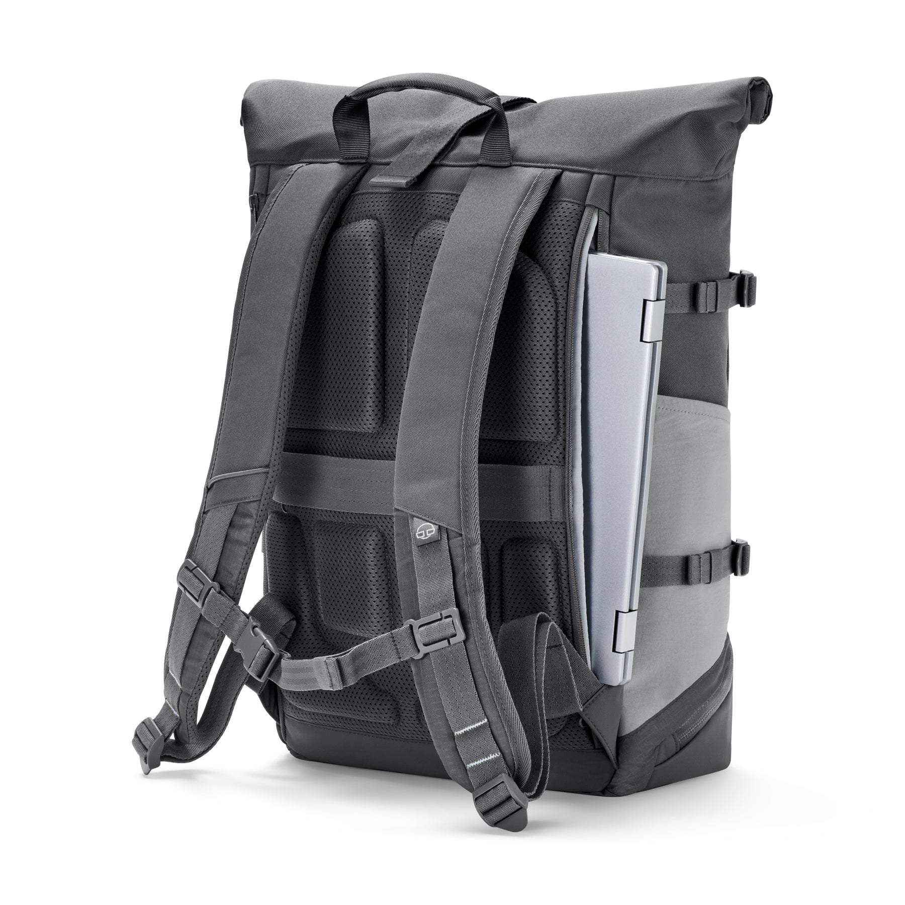 Rückseite des grauen Rolltop-Rucksacks 'Allen Large Move' mit Laptopfach und gepolsterten Schultergurten
