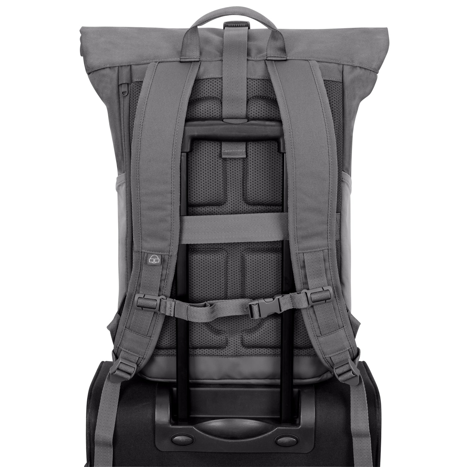 Rückseite des grauen Rolltop-Rucksacks 'Allen Large' mit gepolsterten Schultergurten und praktischem Gepäckriemen für Trolleybefestigung