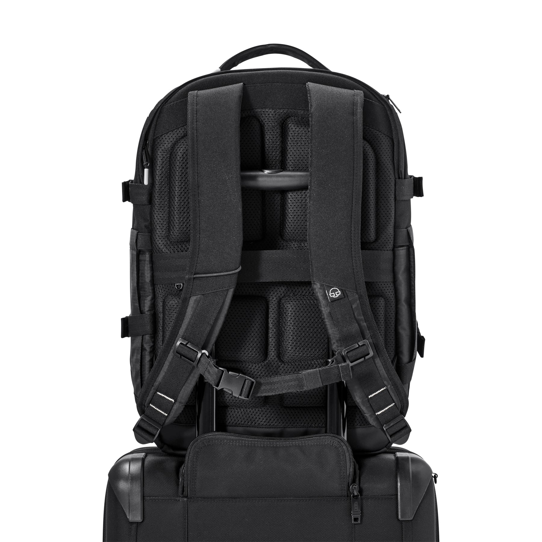 Rucksack 'Jack' von Johnny Urban in Schwarz, Rückseite mit gepolsterten Rücken- und Schultergurten