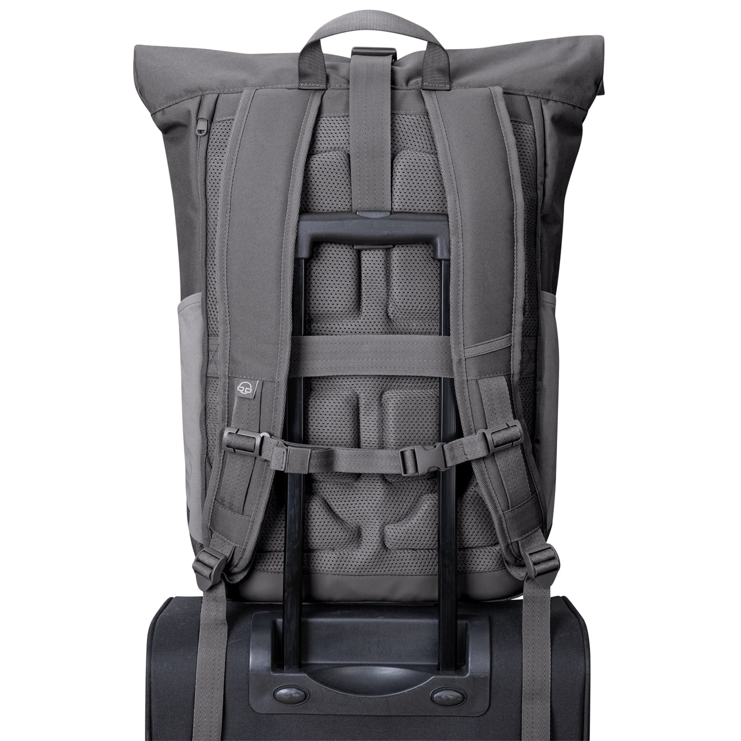 Rückseite des grauen Rolltop Rucksacks Allen XL mit gepolsterten Schultergurten und Fixierung am Trolley-Griff
