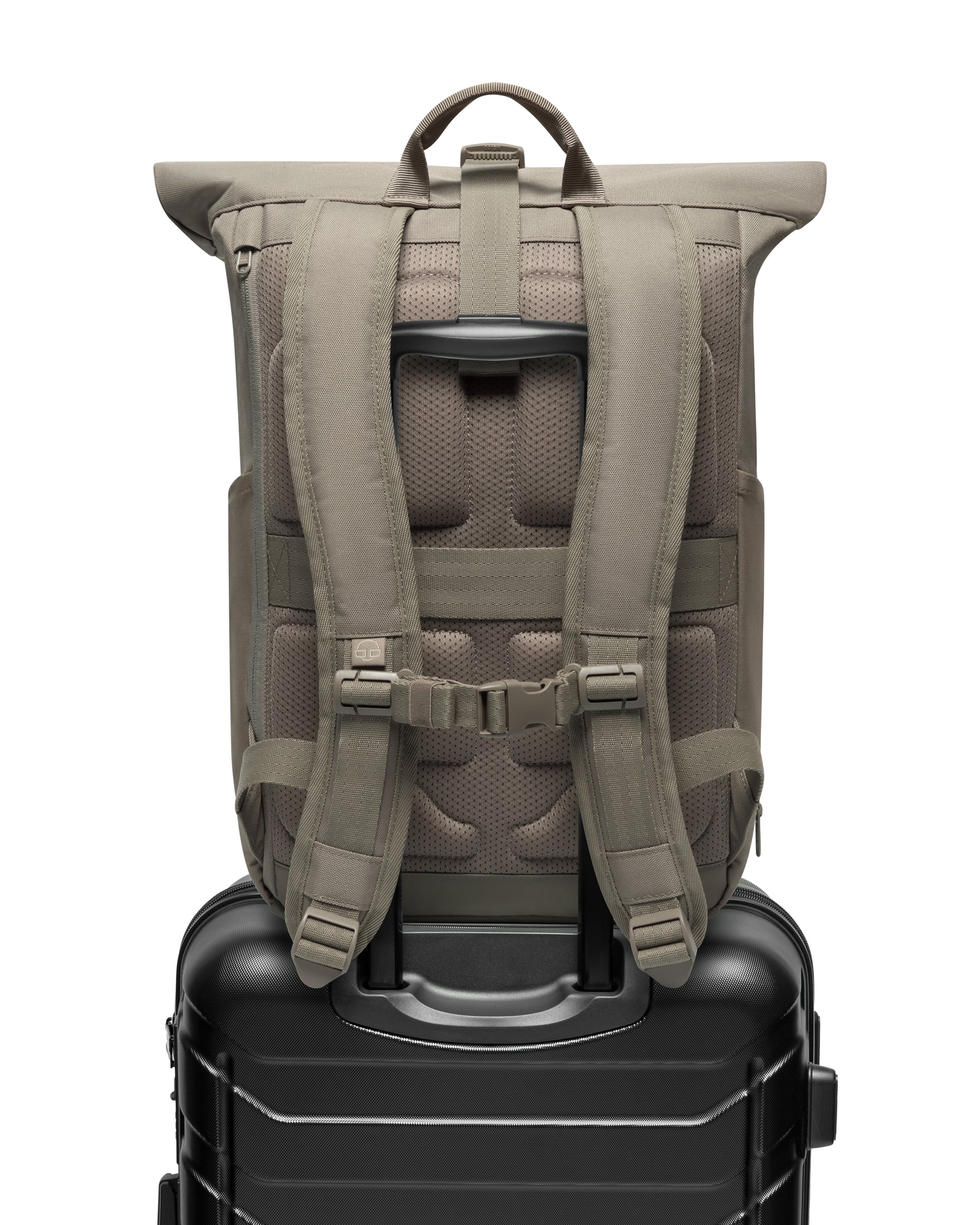 Rolltop Rugzak "Allen Medium"