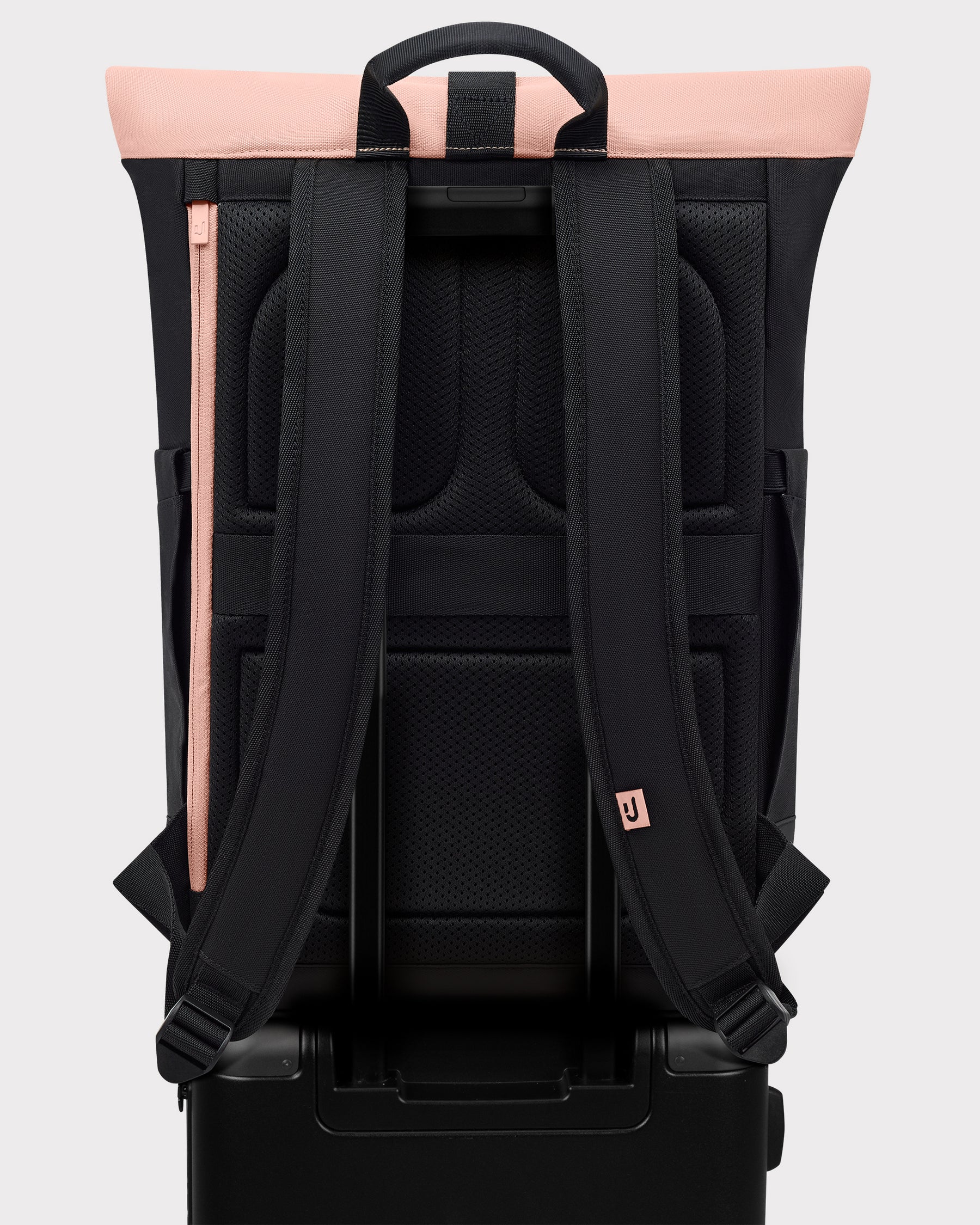 Rolltop Backpack "Allen Medium"