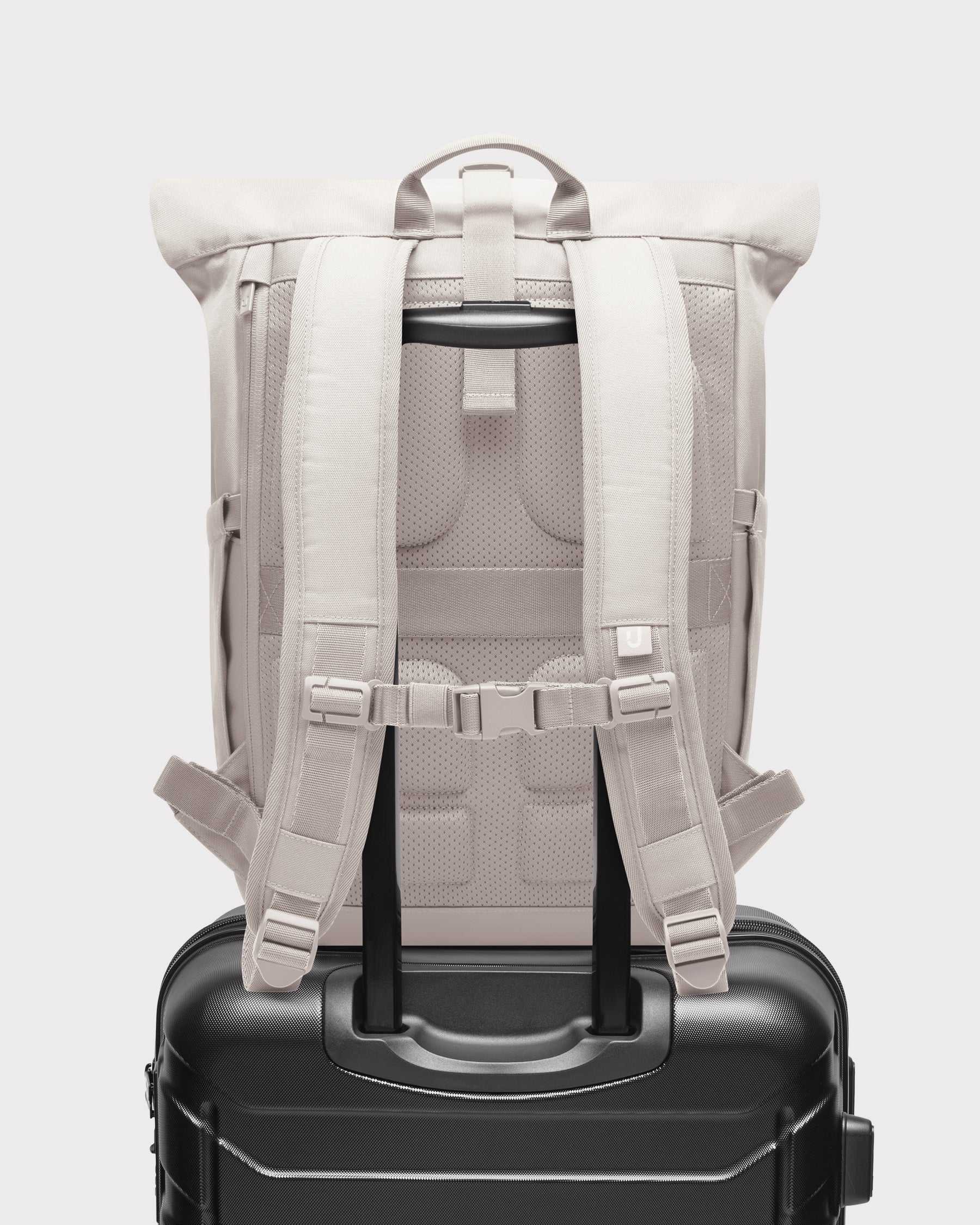 Rolltop Rucksack "Allen Large 2.0"