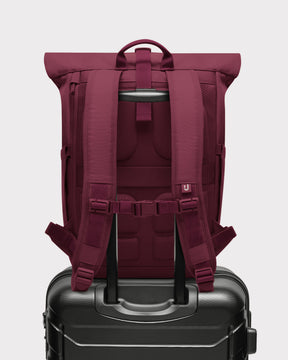 Rolltop Rucksack "Allen Medium 2.0"