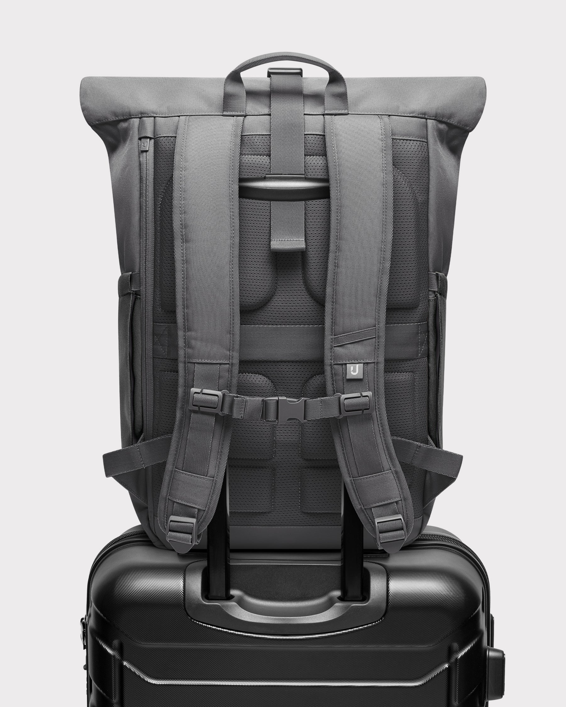 Rolltop Rucksack "Allen Medium 2.0"