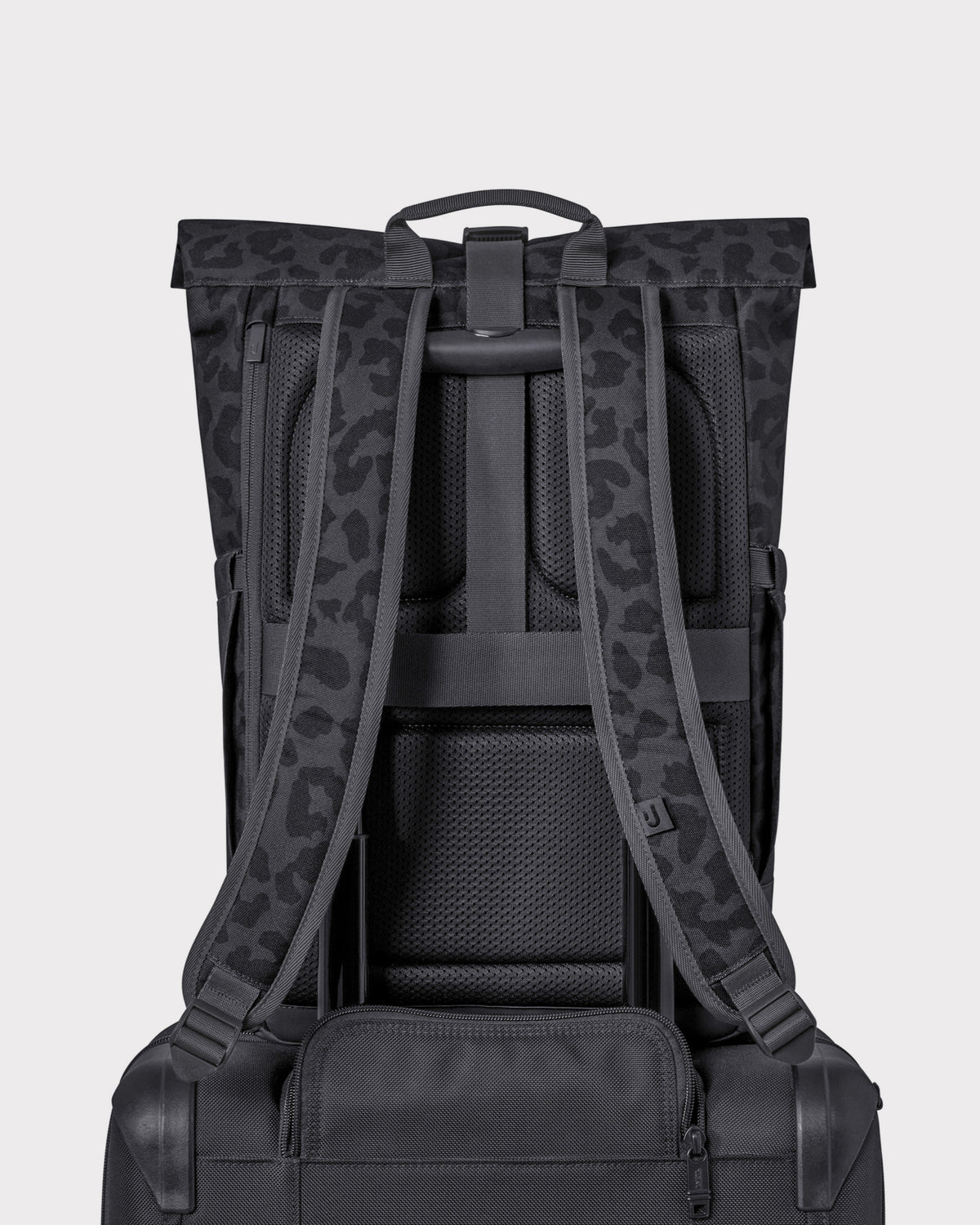 Rolltop Rucksack "Luca Medium"
