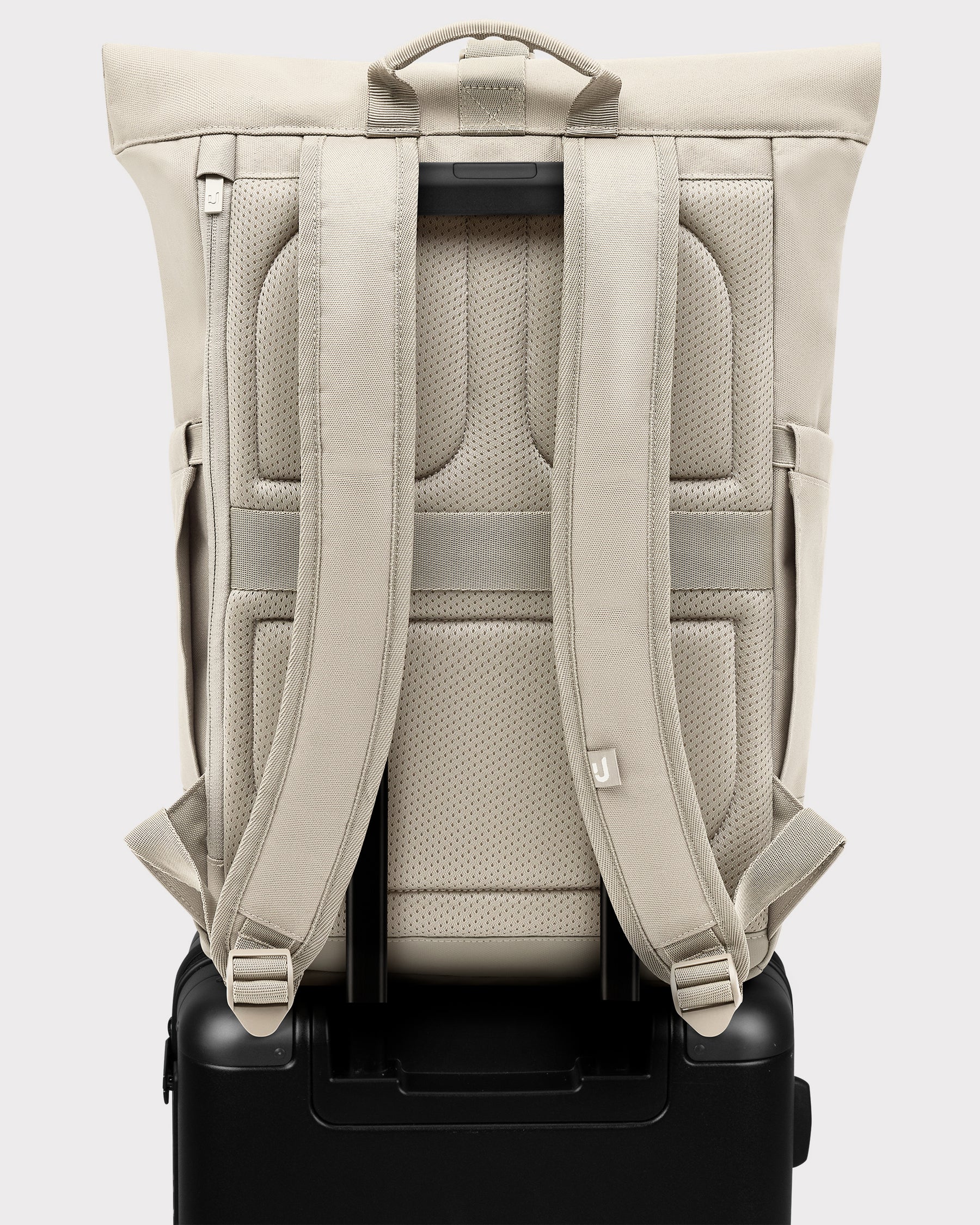 Rolltop Backpack "Allen Medium"